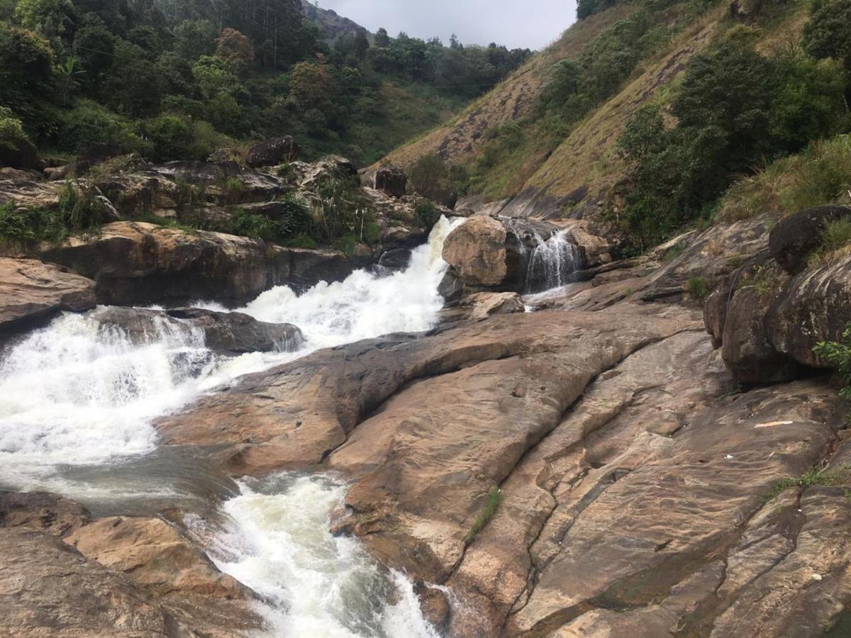Greenpepperhomestay Munnar Anaviratty Esterno foto