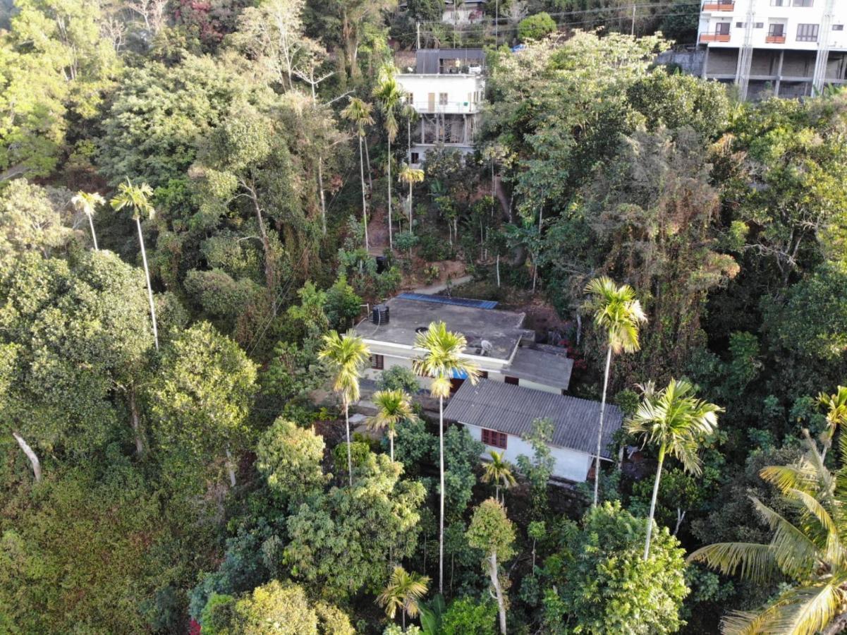 Greenpepperhomestay Munnar Anaviratty Esterno foto